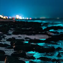 Night beach with blue glowing waves